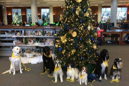 therapy dogs in front of christmas tree