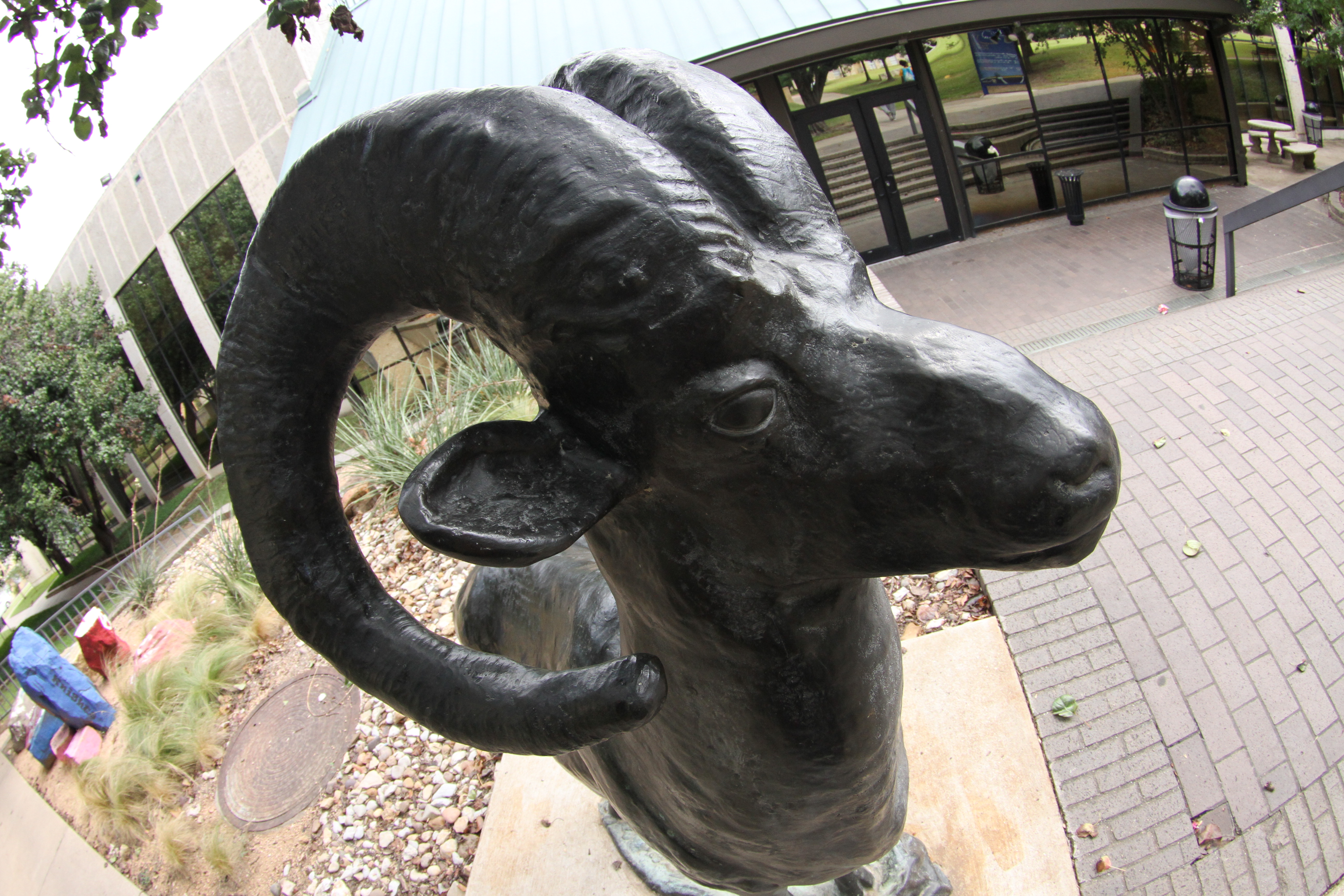Bronze statue of a ram.