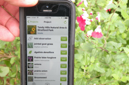 Bruce Benz's iPhone with iNaturalist and flower